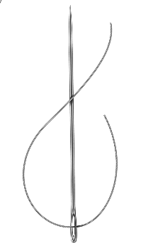 Needle
