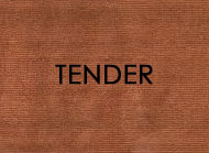 Tenders List